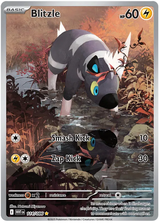 Blitzle 114/086 White Flare Illustration Rare English Pokémon TCG NM